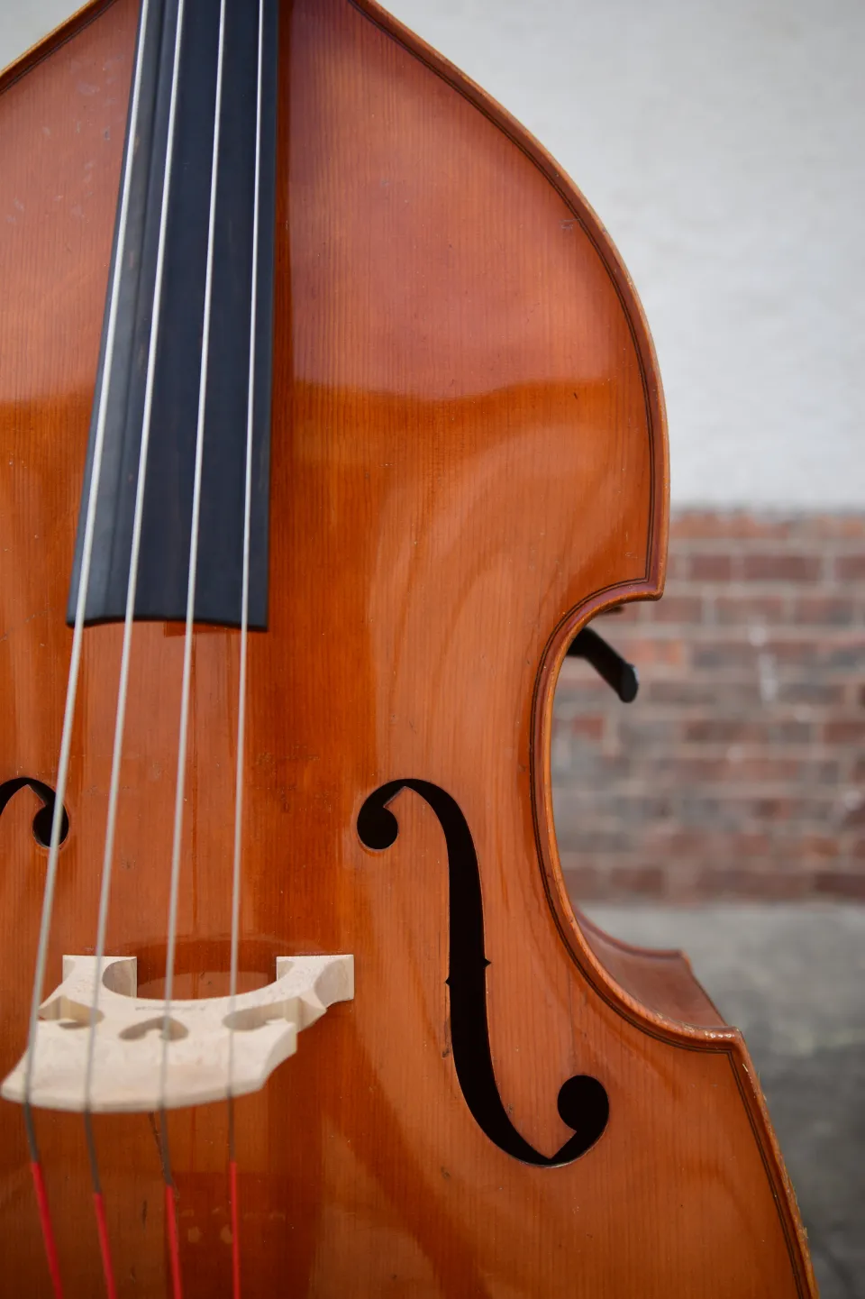 Detail der Decke, des F-Lochs und des Stegs am Rubner-Kontrabass